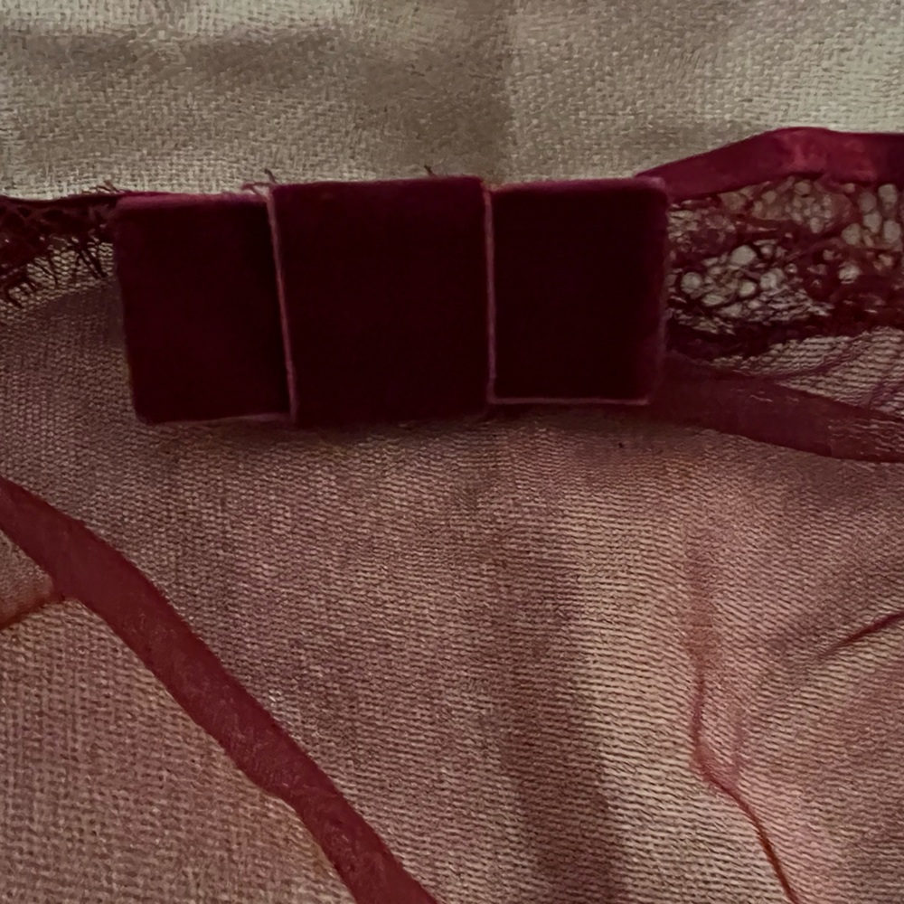 NWOT Adore Me Burgundy Sheer Babydoll - Picture 4 of 9
